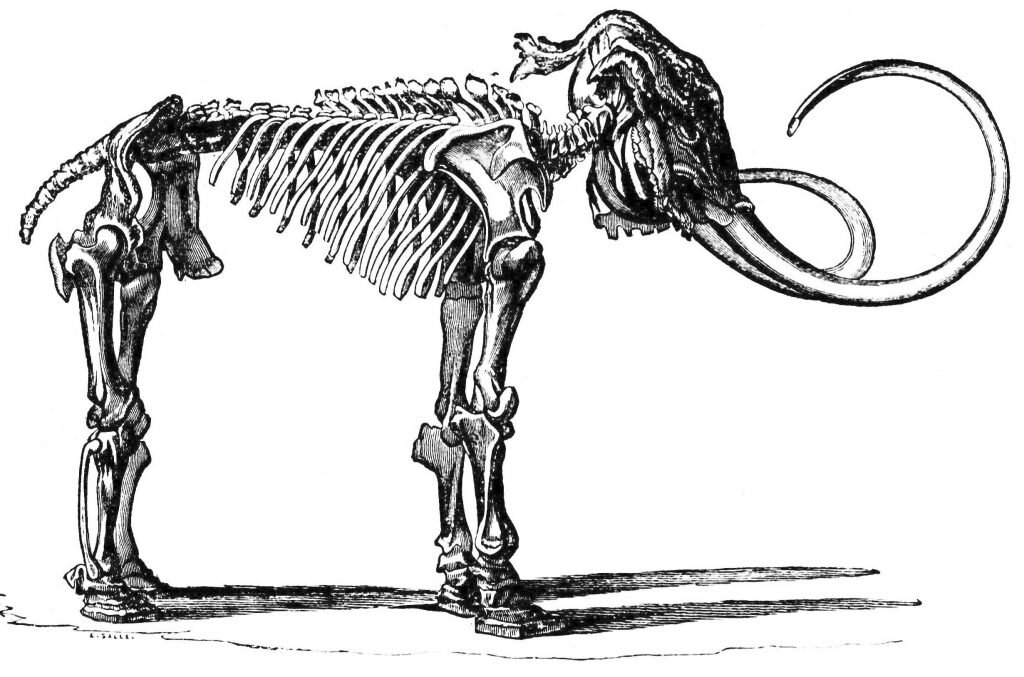    ru.wikipedia.org