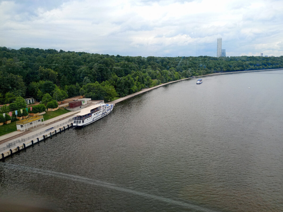 2 день в Москве: канатка и Ботанический сад МГУ с прекраснейшими ароматными  розами🌹🌹🌹 | Пути-дорожки | Дзен