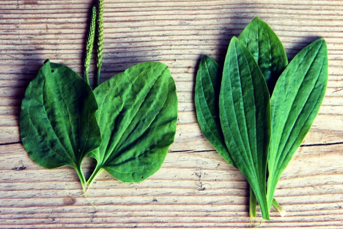 Антисептик моего детства