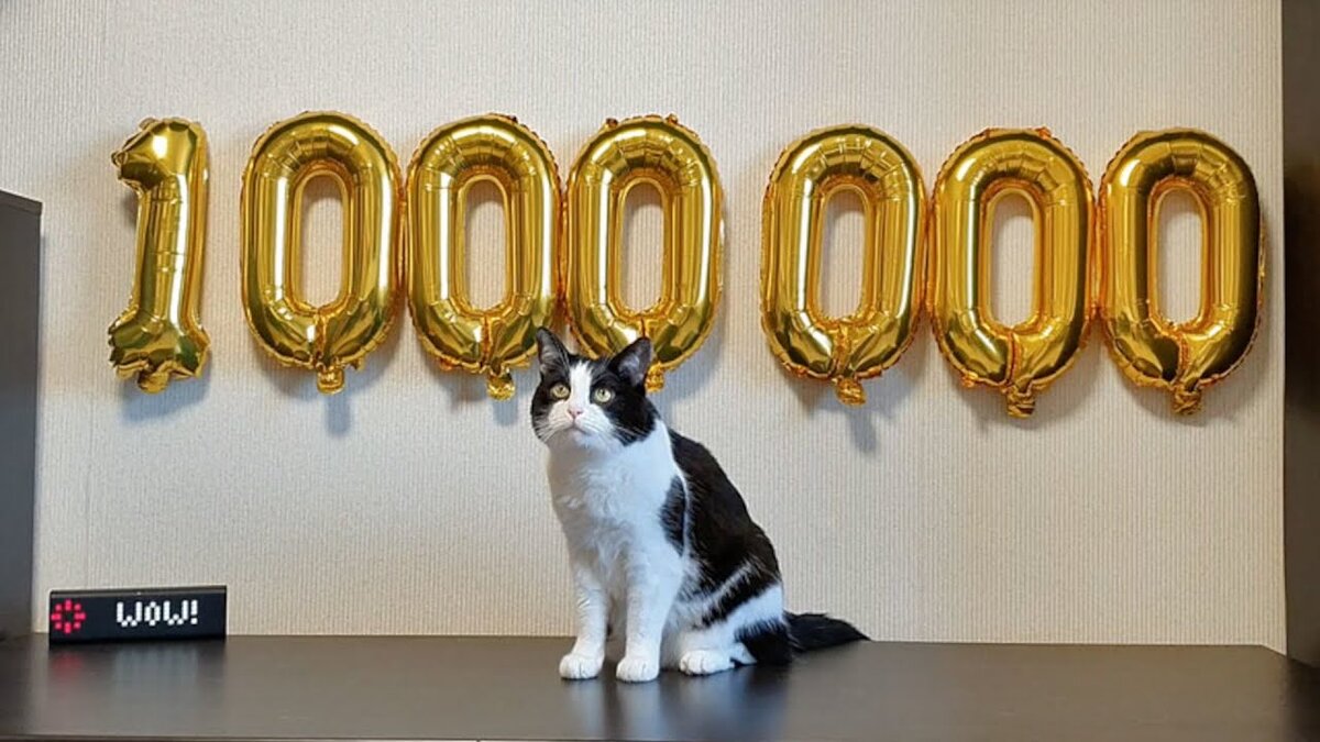 Фото из открытых источников https://i.ytimg.com/vi/hrUkYA6fjeI/maxresdefault.jpg 