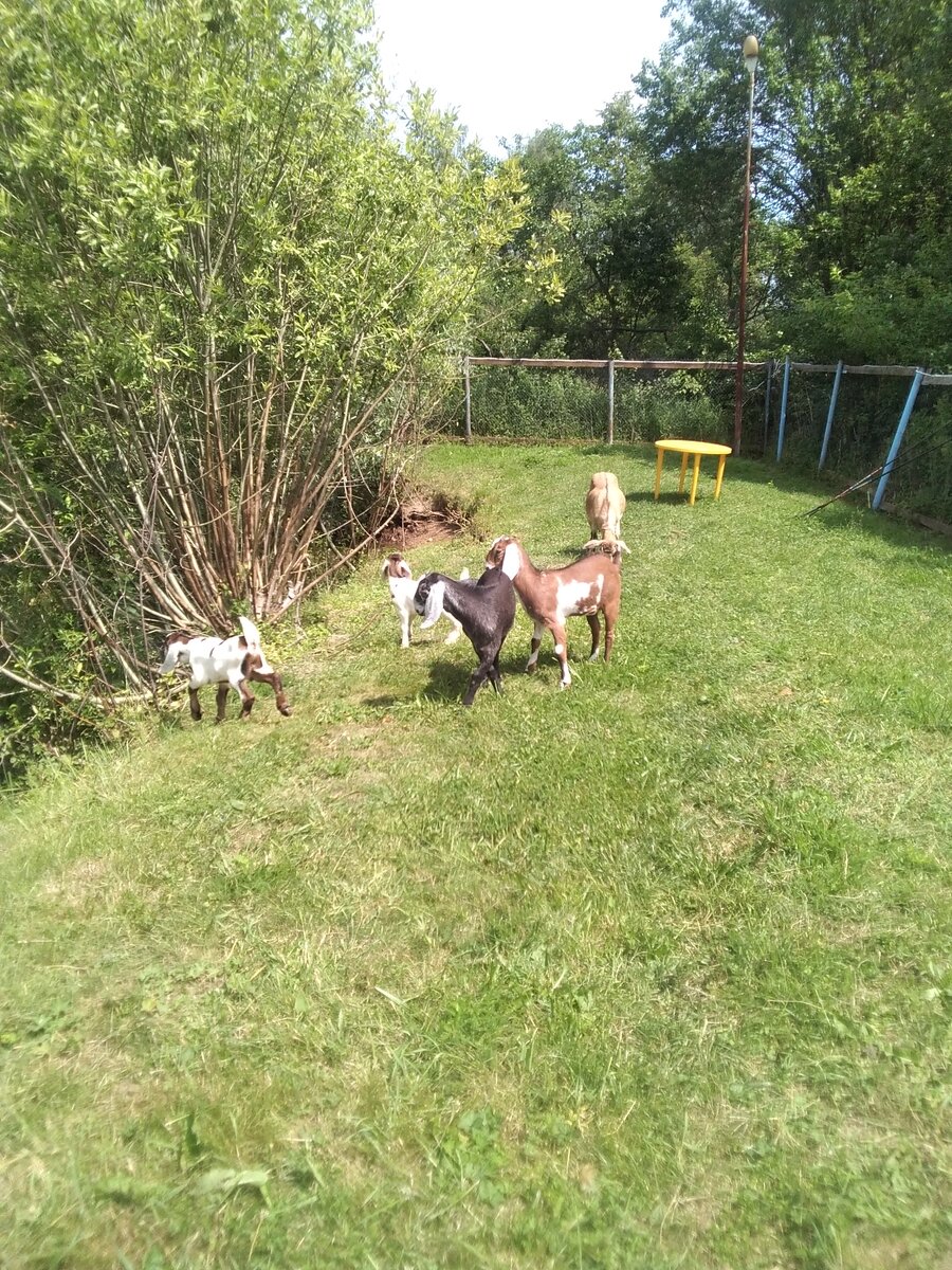 Фото автора. 