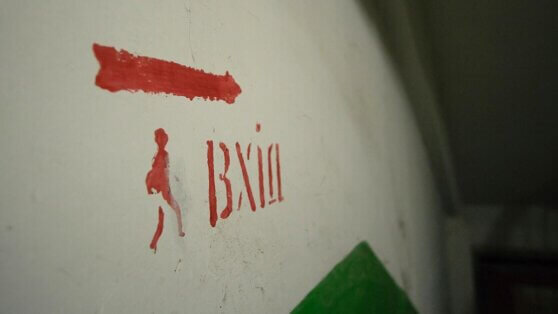    Зеленский снял с должностей глав четырех районов Киева после скандала с бомбоубежищами Анастасия Романова