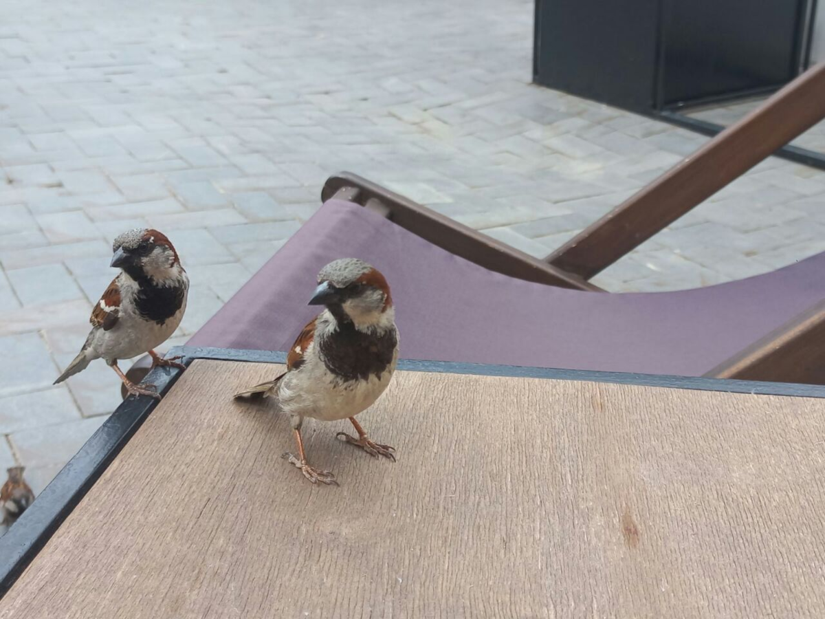 Фото автора.