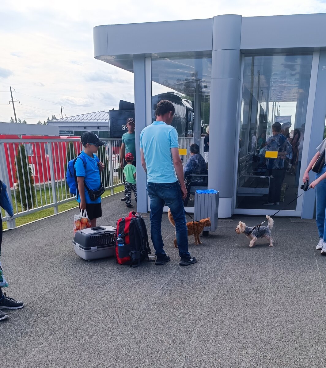 🚝 Путешествие на ласточке Ржев-Москва. К чему надо быть готовым. | Теплый  ДОМИК в Яковлево | Дзен