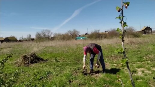 Буськина мать на дзене последнее видео