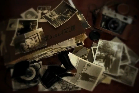 Картинка из общего доступа. © 2023 Любое копирование материала без согласия автора и прямой ссылки на канал запрещено.