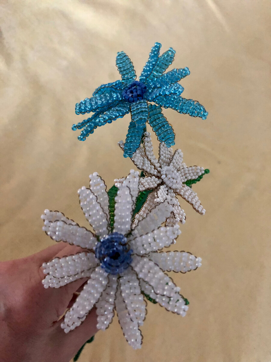 Ромашки. Фото автора.