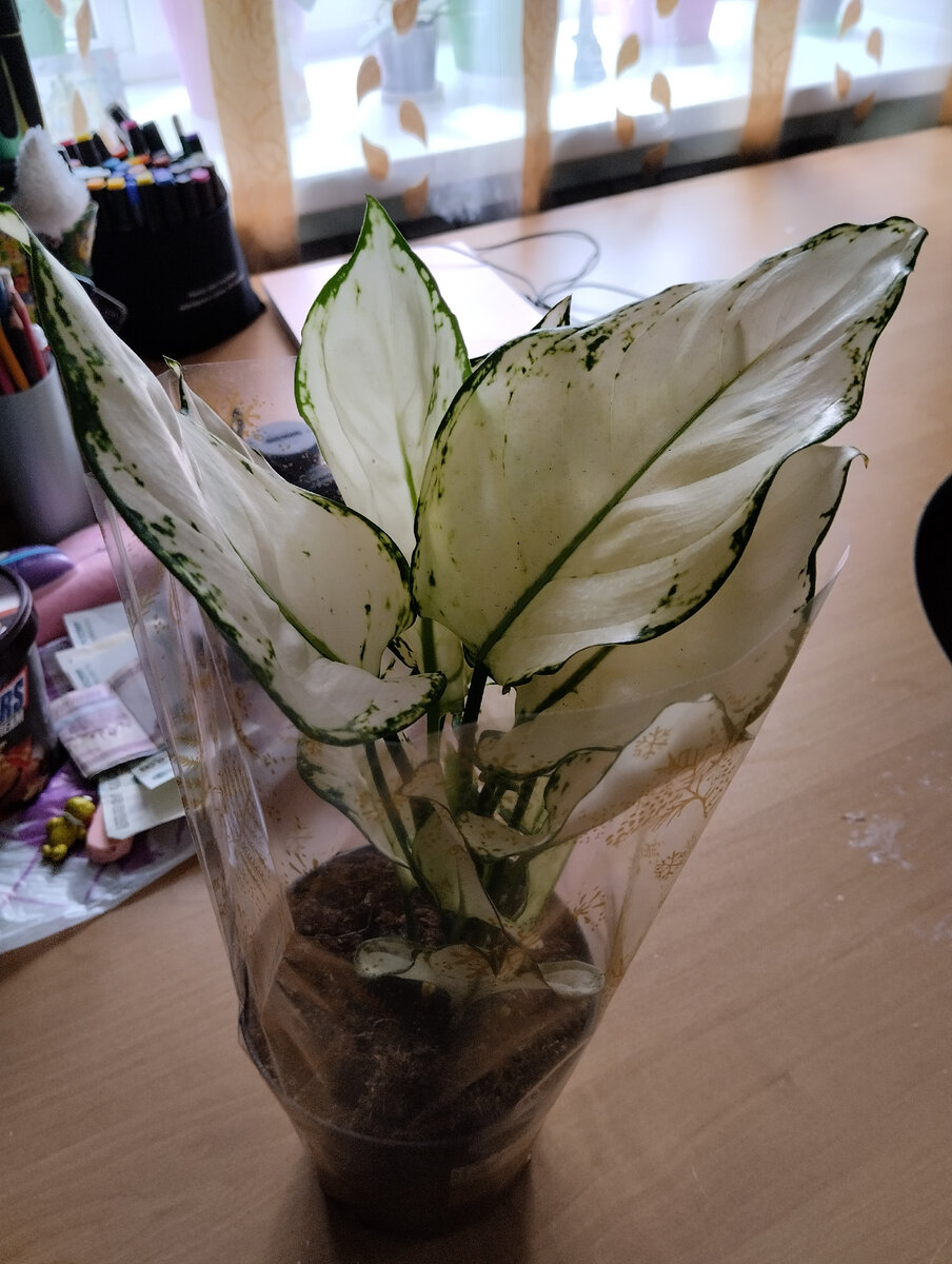 Фото автора.