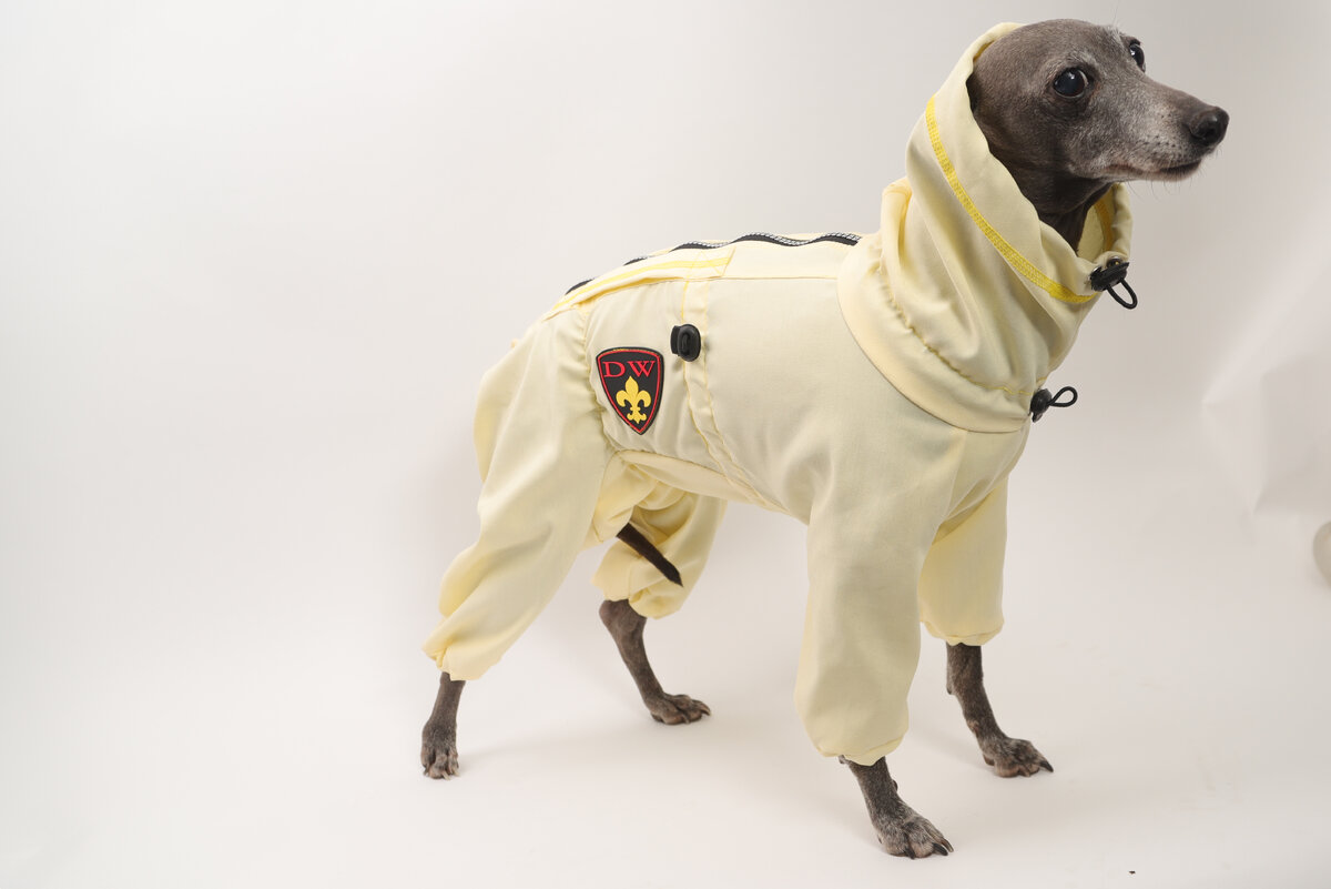 Пыльник для собак