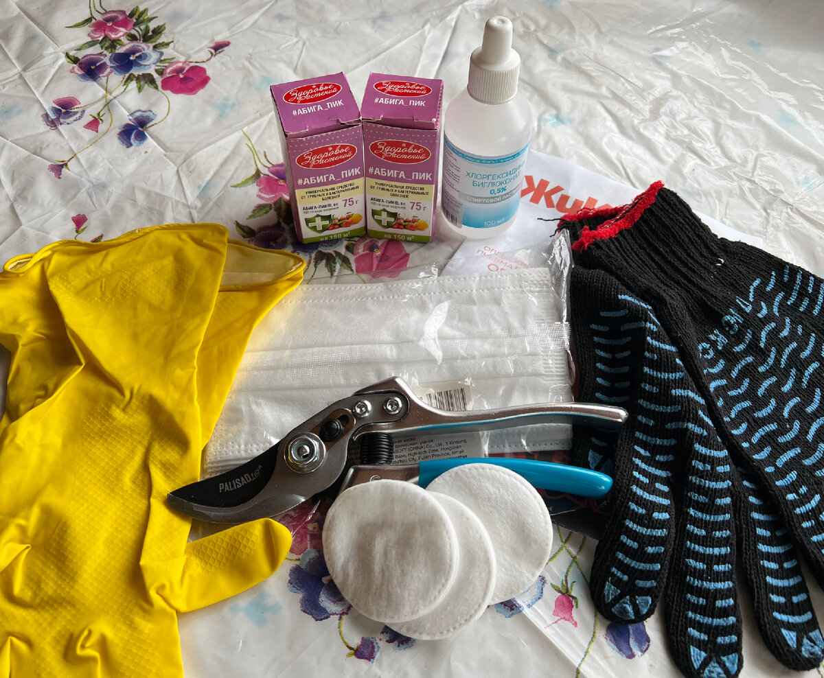 Забыла добавить в этот «натюрморт» садовую пилку. Остальные помощники в сборе :)