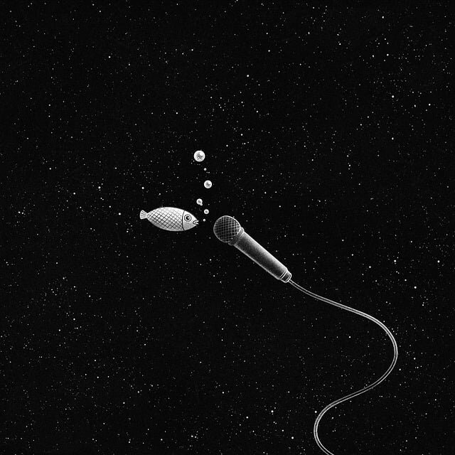 Изображение 愚木混株 Cdd20 с сайта Pixabay