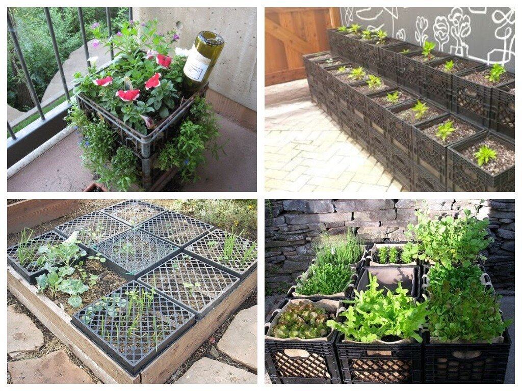    Любители растений охотно используют пластиковые ящики для посадок