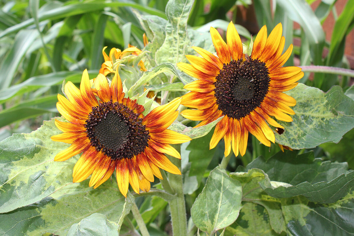    Фото: Валерия Скрипко