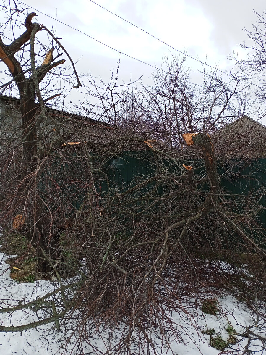 Все фото - автора