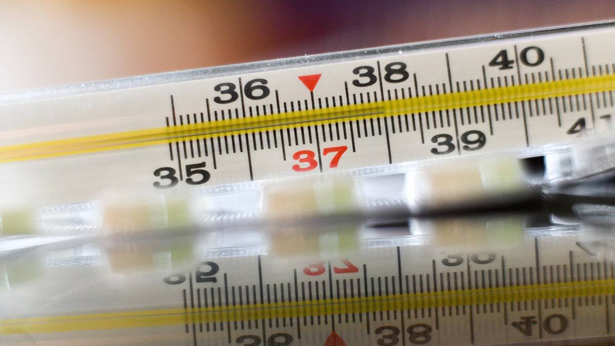 Вызвать МЧС или собрать самостоятельно: что делать, если разбился ...