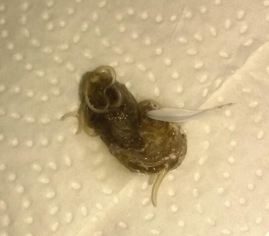 фото из интернета 