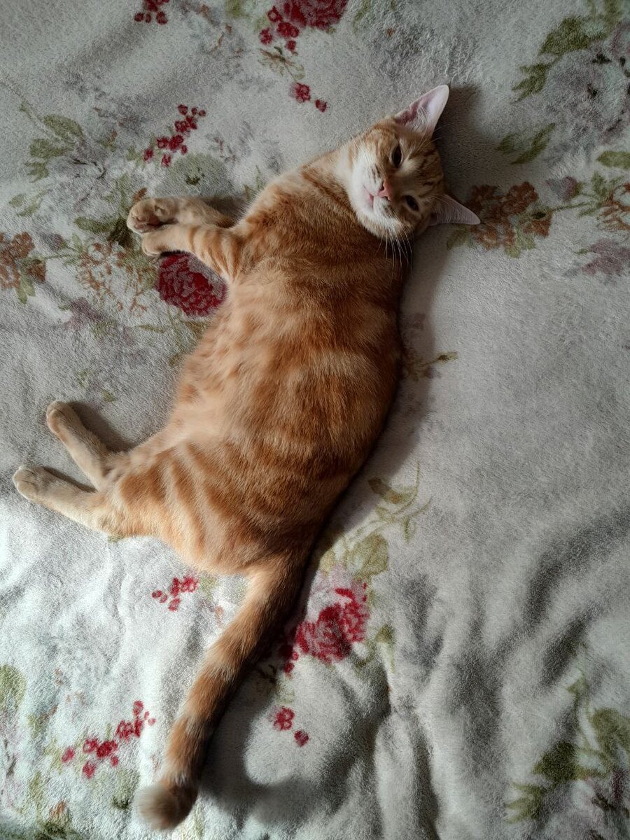 Пока нового сигнала тревоги не было