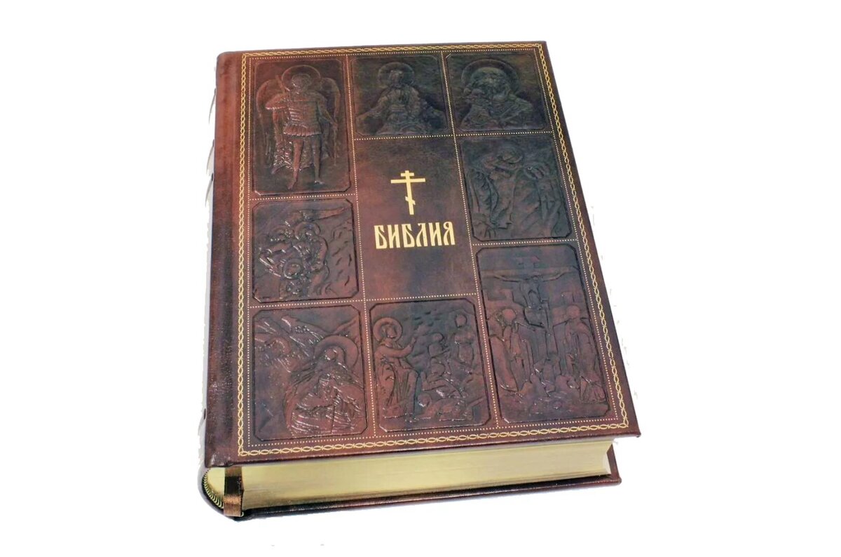 Изображение из открытых источников.