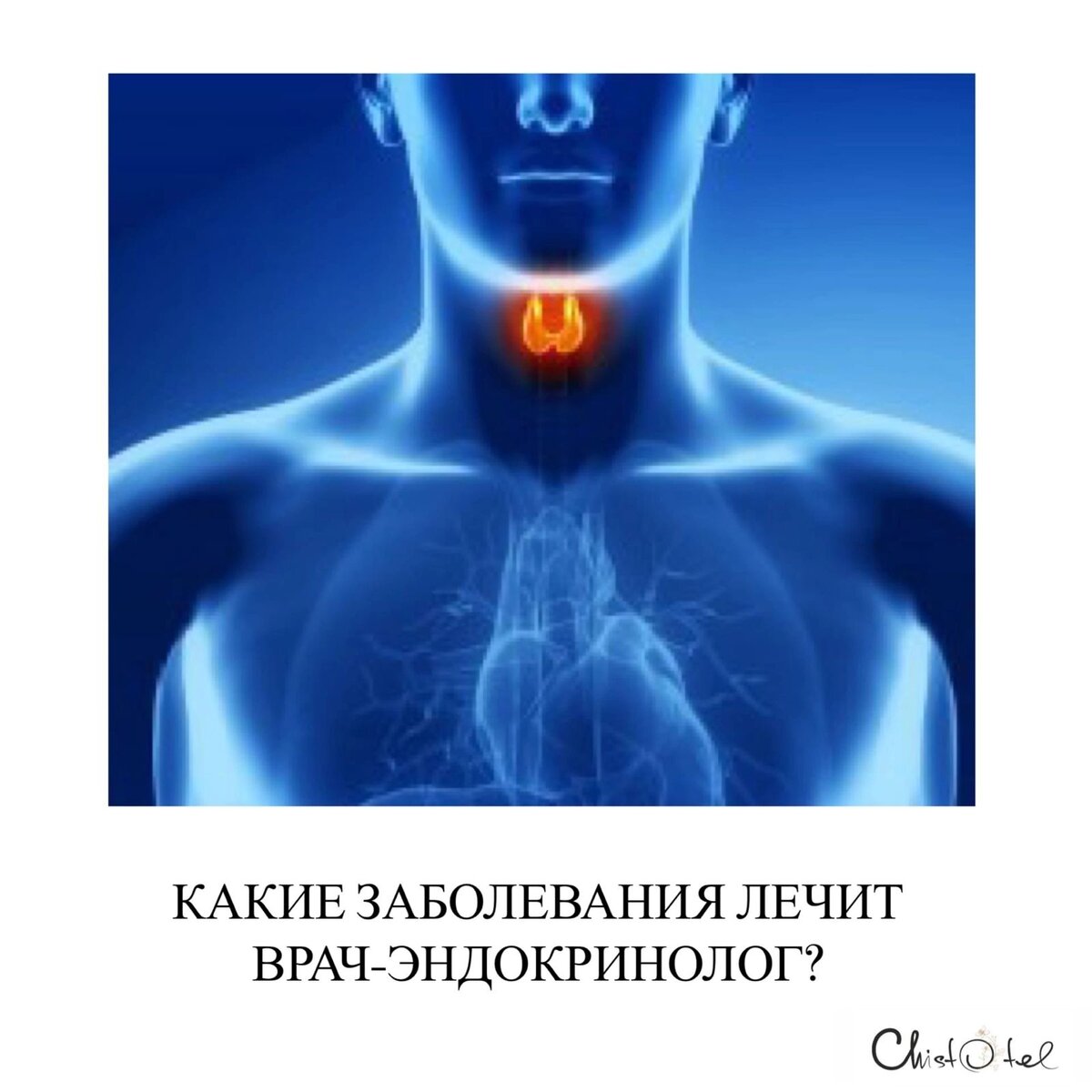 «Видеть страдающего человека и не иметь возможности ему помочь — это больно»