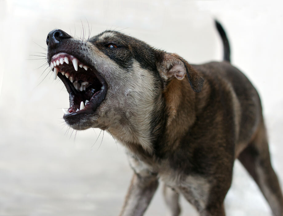 Фото thesun.co.uk