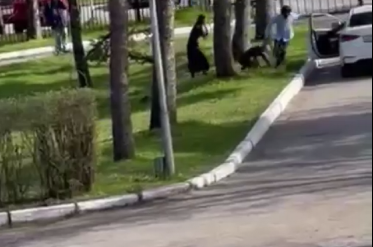    Полиция Ставрополя проверяет сведения о похищении девушки около больницы №3