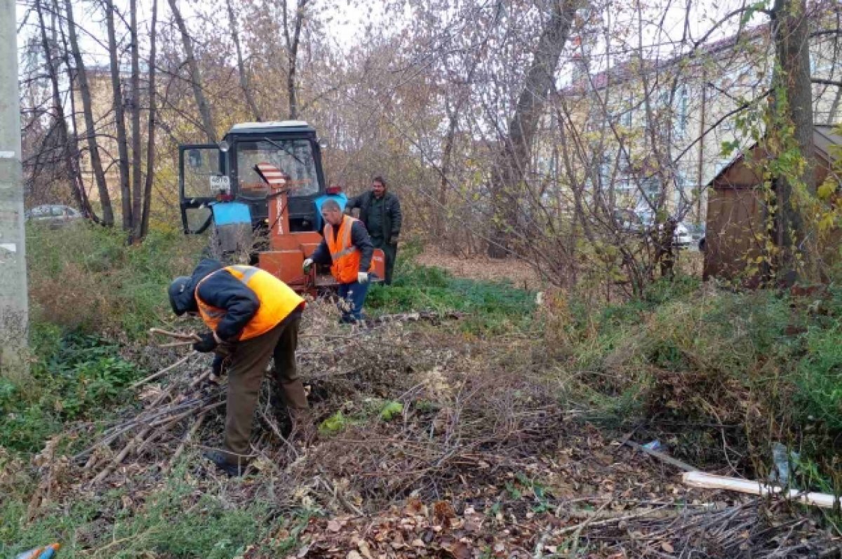    Усилить контроль вывоза мусора предложили в Нижнем Новгороде