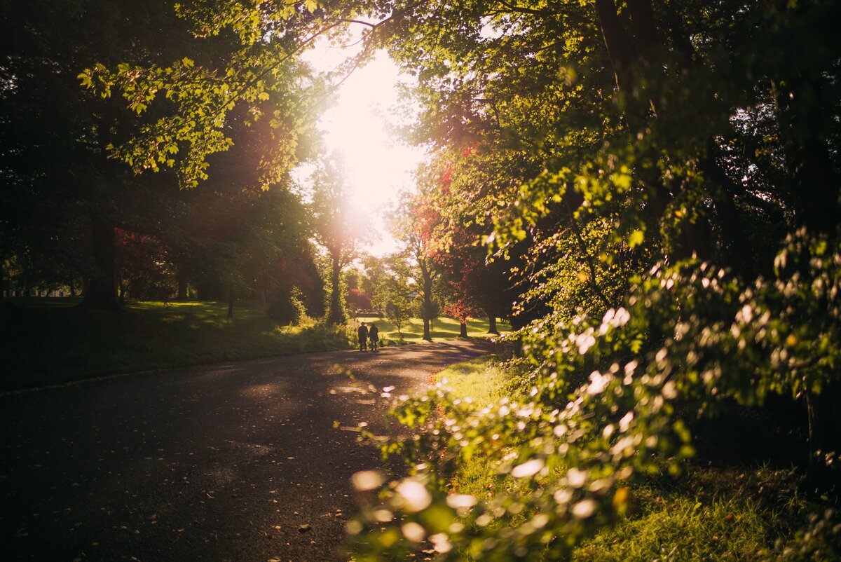    Unsplash
