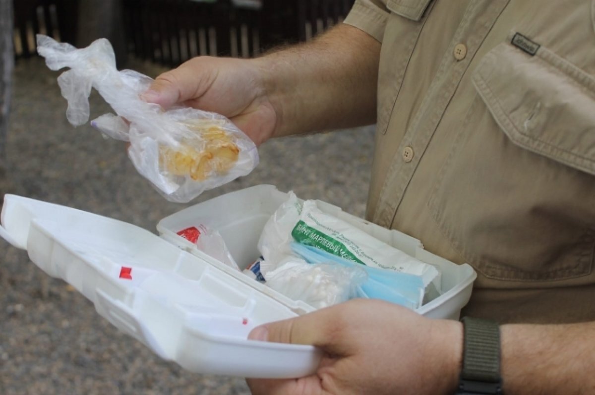    Томский врач назвал препараты, которые должны быть в аптечке дачника