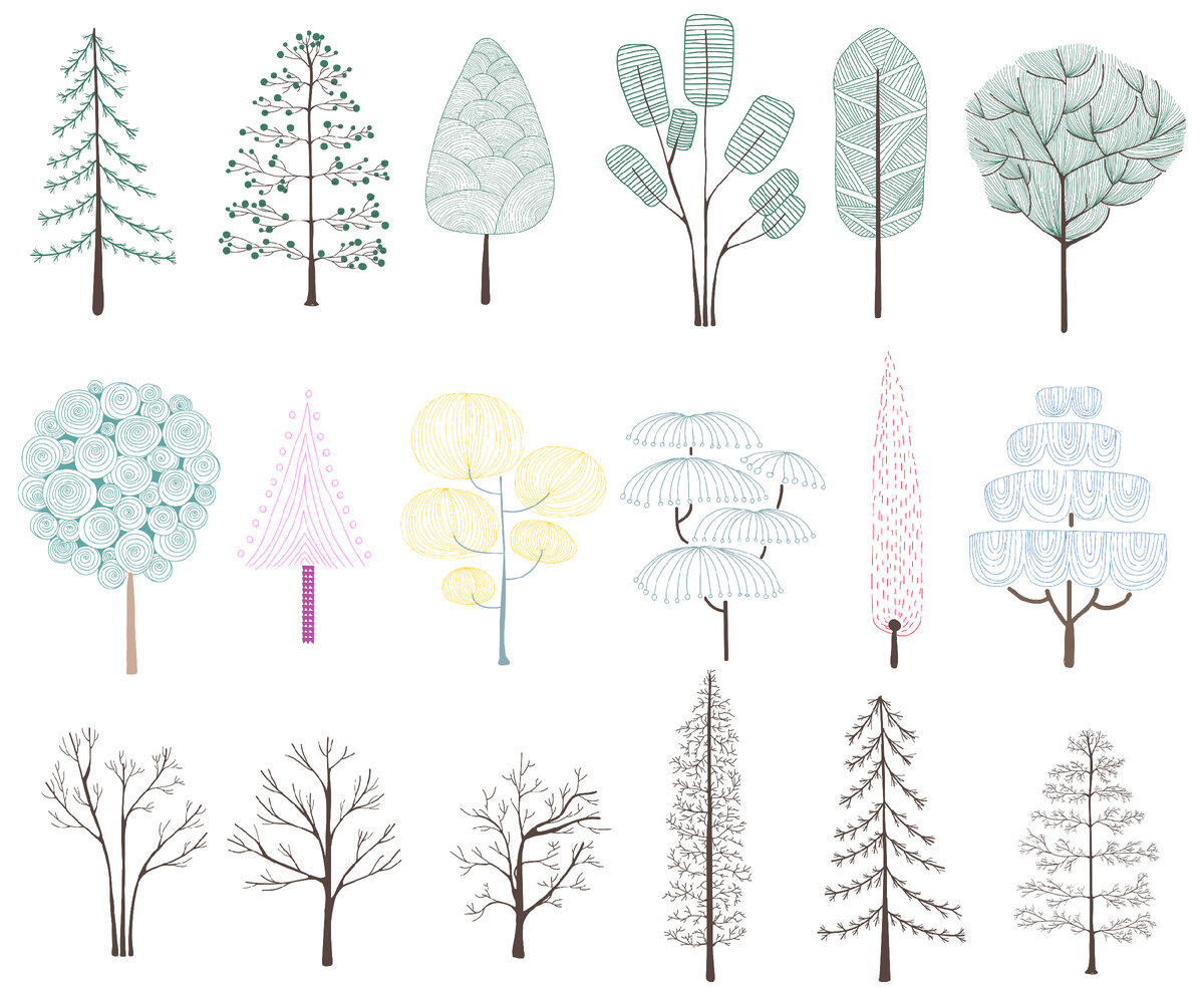 Интересно, какое дерево получилось у вас. Фото из интернета