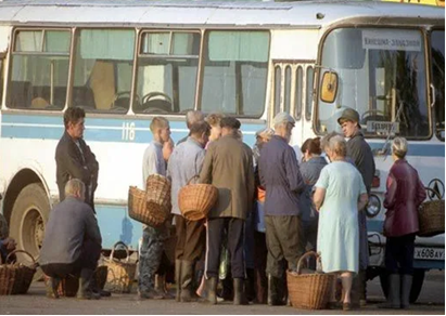 фото из интернета.