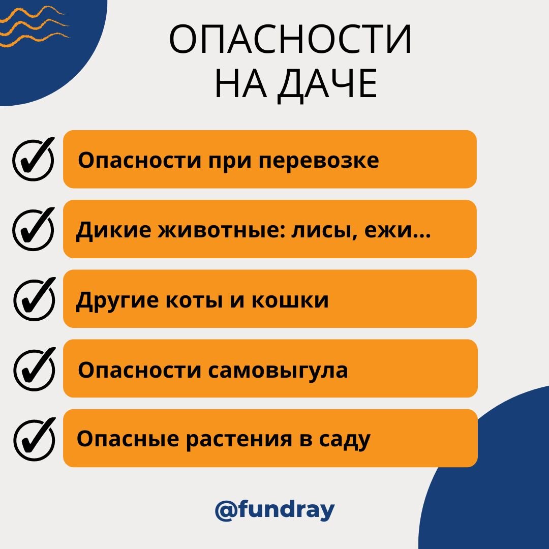 Опасности на даче