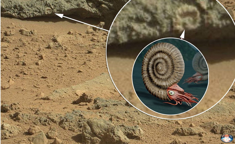 मंगल ग्रह पर इंसानी बस्ती SpaceX Mars mission 2023 in Hindi Elon musk mars plan 