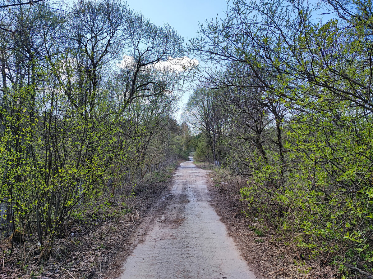 Екатерининский мост. Фото автора. 2023г