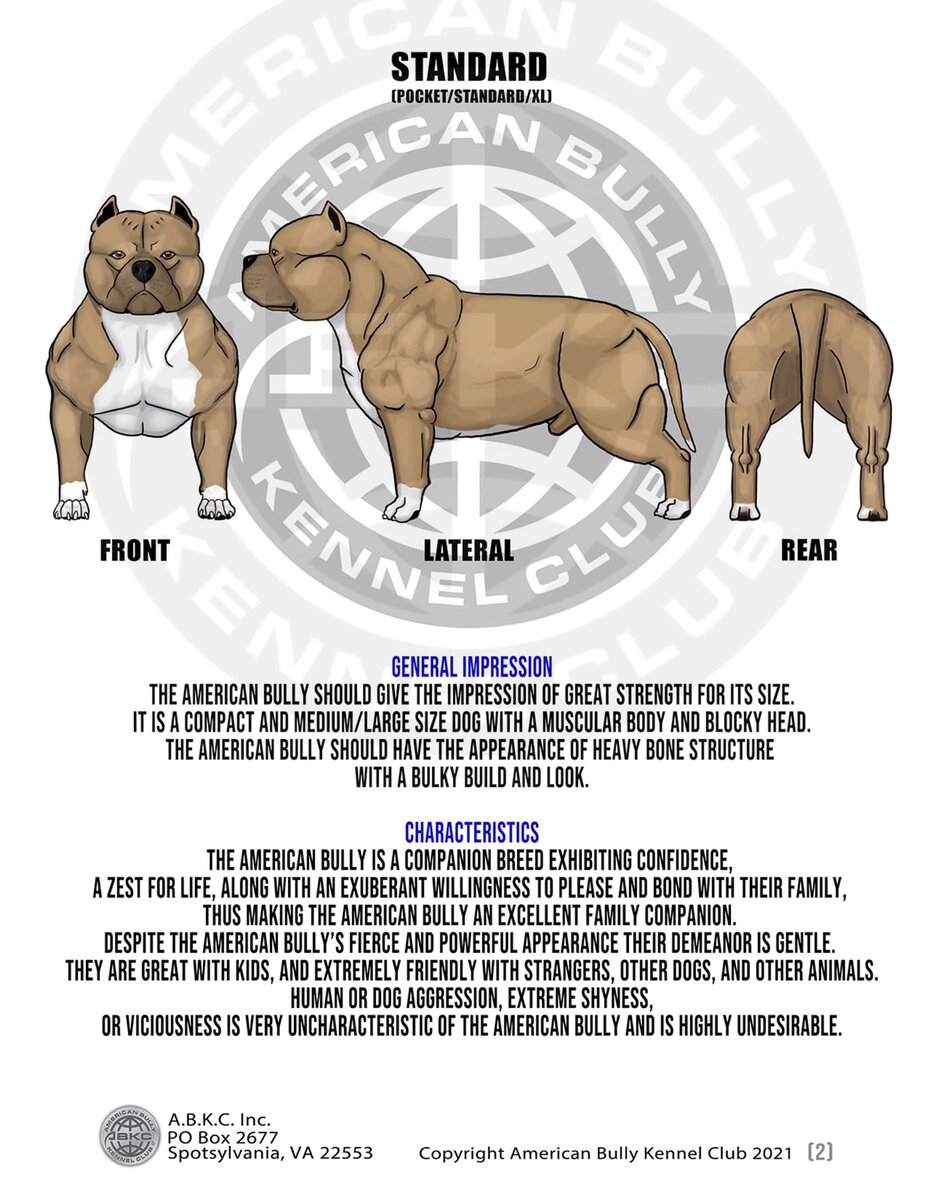 Общее впечатление и характеристики