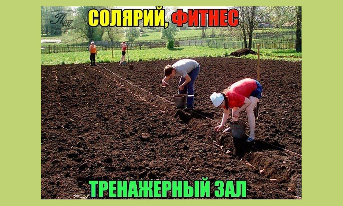 Уже тяпнула где то картинка