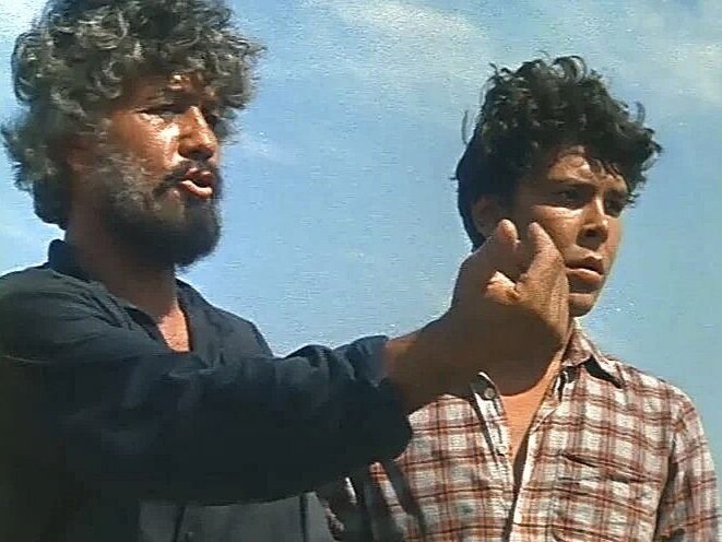 "Цыган" / Фото: www.yandex.net