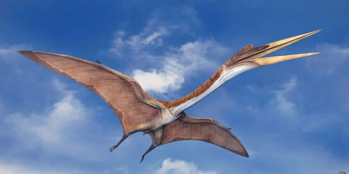 Кетцалькоатль (Quetzalcoatlus  (яндекс-картинки)