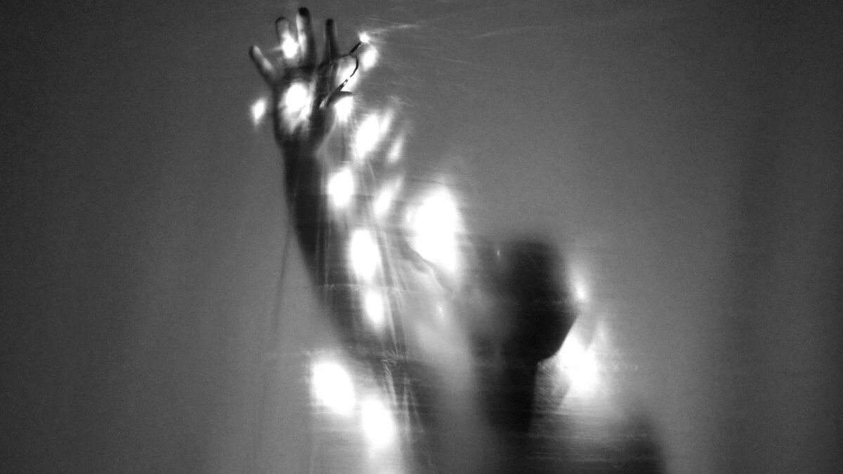 Фото: pxhere.com