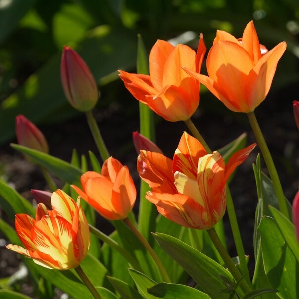 Фото из личного архива