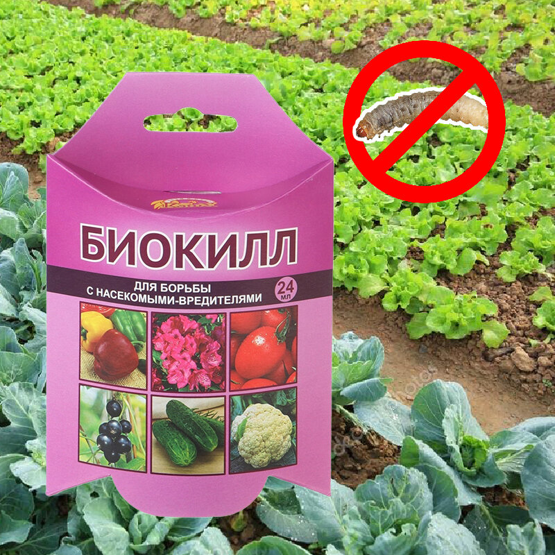 Биокилл инструкция по применению отзывы. Биопрепарат биокилл. Биокилл препарат для обработки растений. Биокилл 4мл (150шт) вх. Биокилл 24 мл.