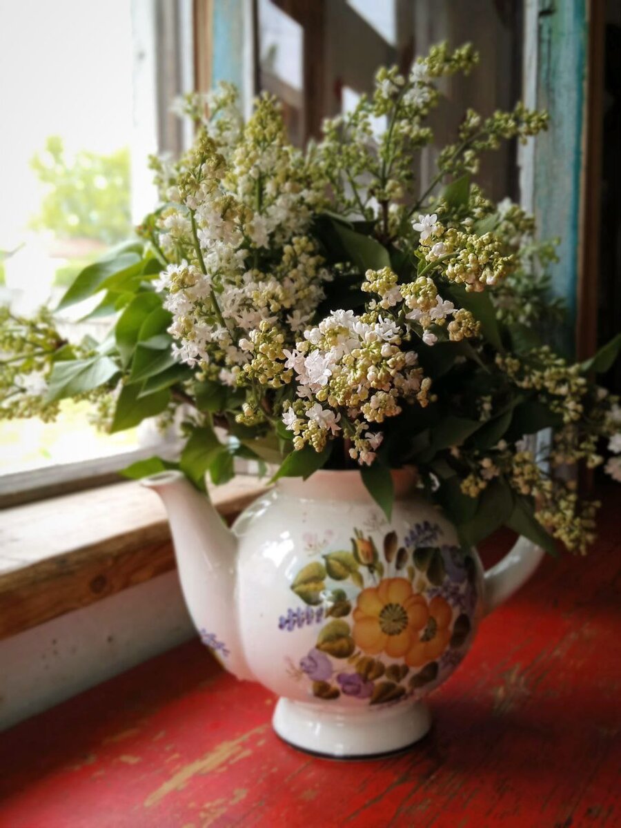 За окном идет дождь, а у нас цветы в чайнике. 