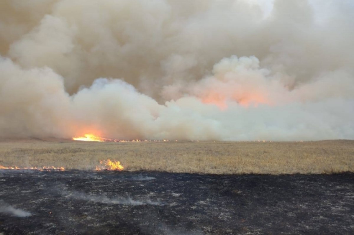    Глава Борзинского района поблагодарил за борьбу с огнём в Забайкалье