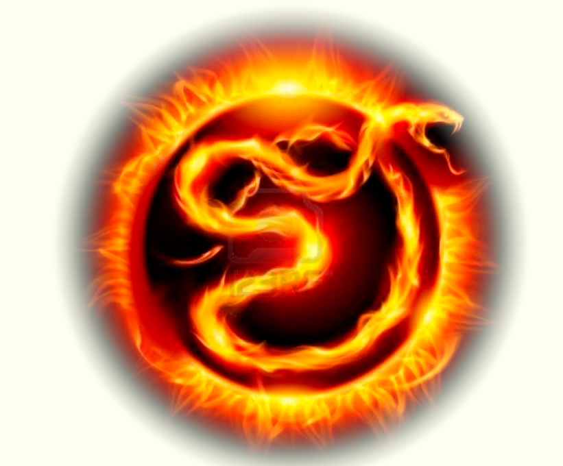 Совместимость огненной змеи. Огненная змея. Огненная змейка. Огненная змейка 2. Огонь Инь.