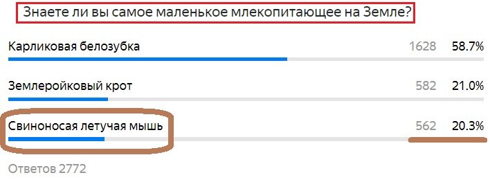 Вопрос с прошлого теста. Правильный ответ- Свиноносая летучая мышь