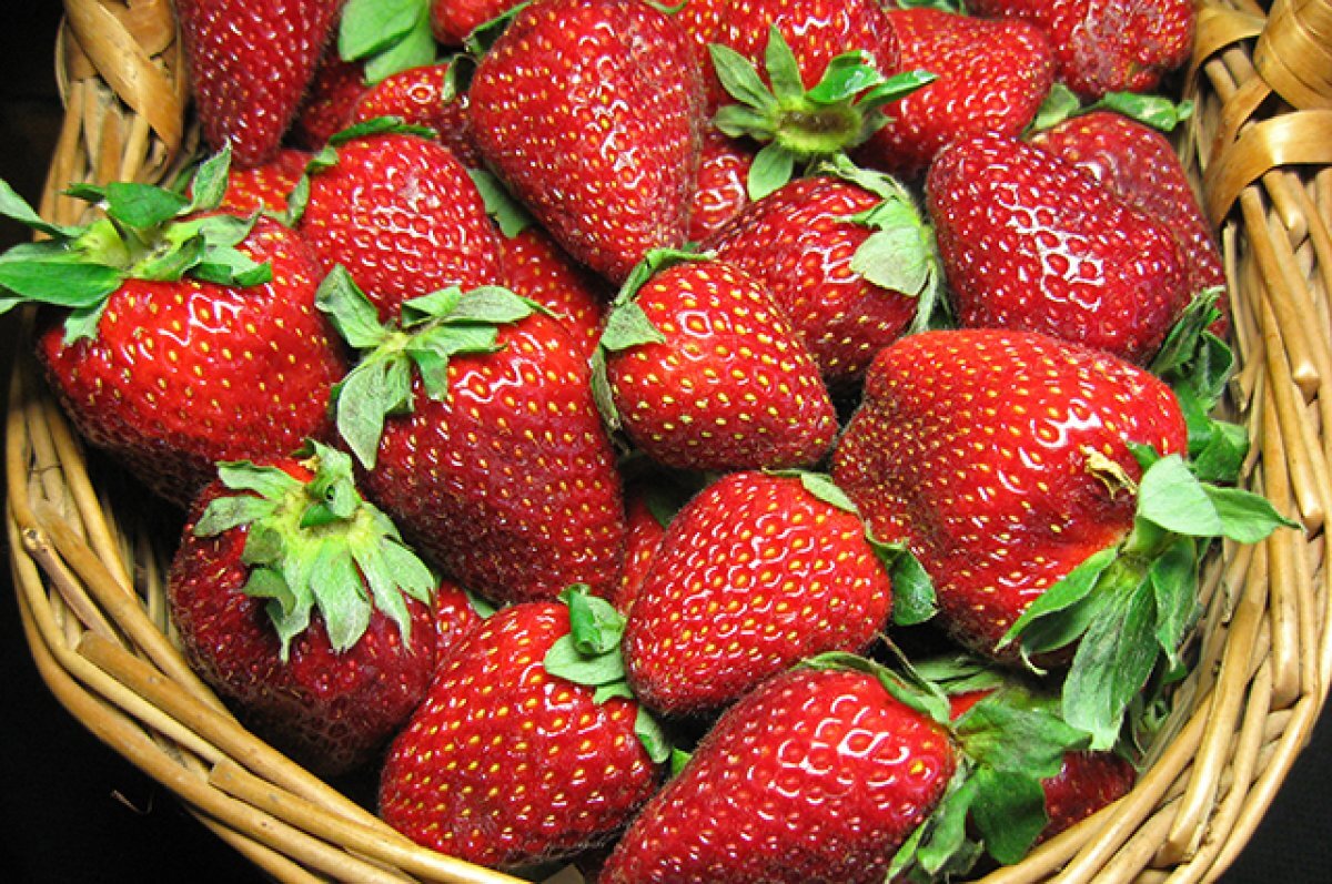    Агроном из Новосибирска Шубина рассказала о выращивании крупной клубники