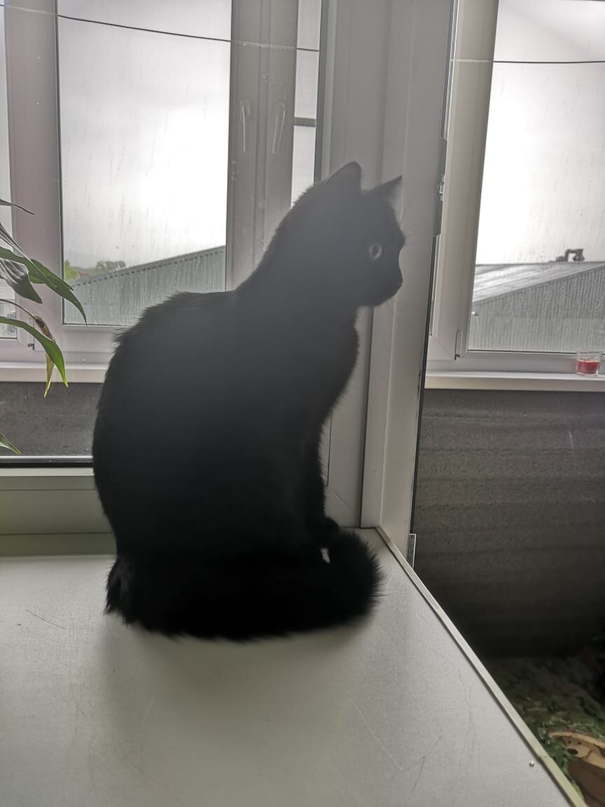 Фото автора статьи. 