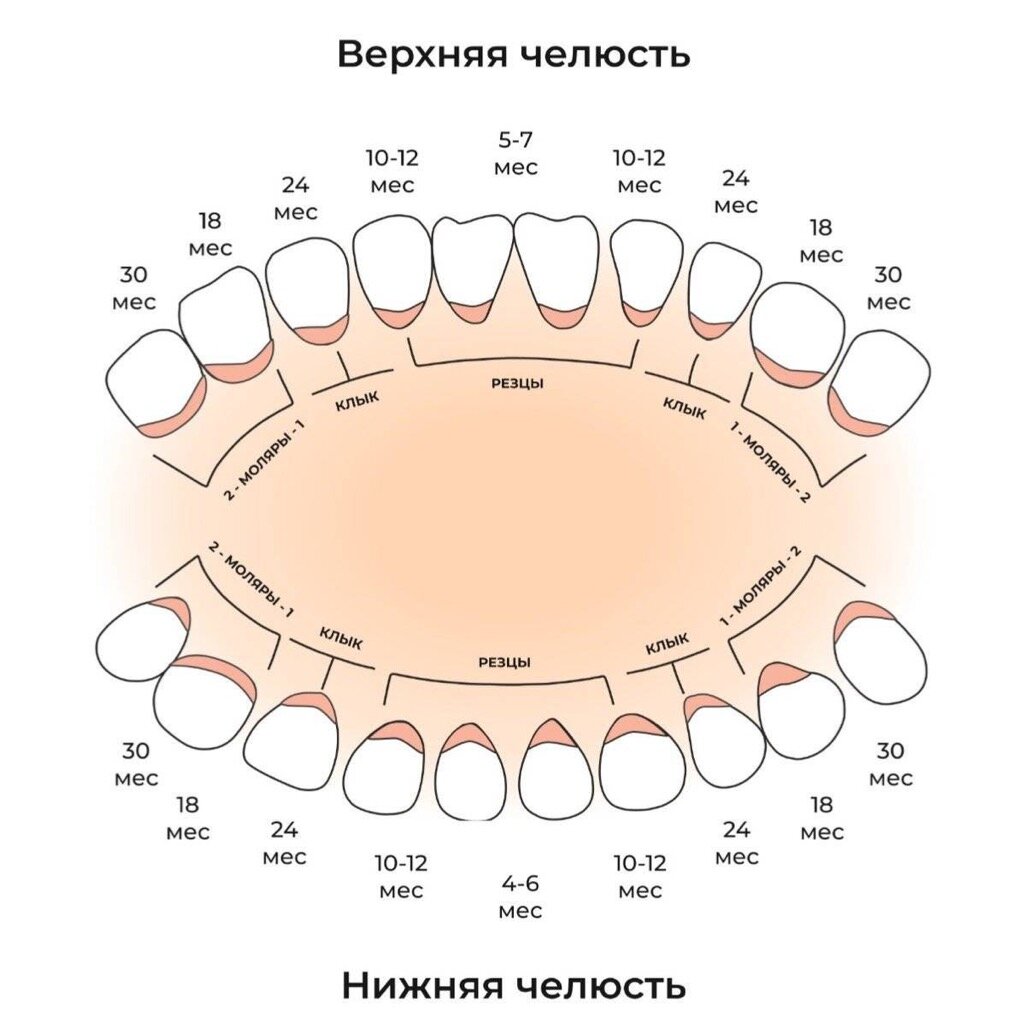 Температура у ребенка при прорезывании зубов