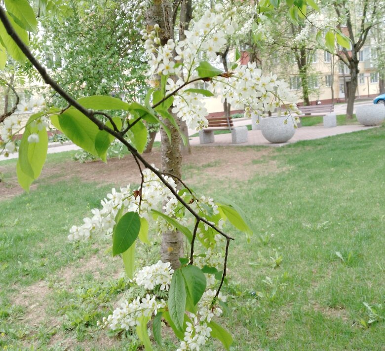 Фото автора