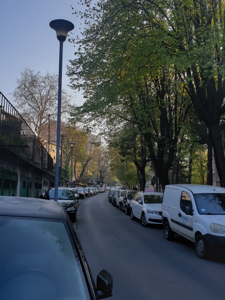 Фото улицы слева. 6 часов утра. Посмотрите, как ровно стоят автомобили! И это все не смотря на то, что дорого идет немного на спуск и имеет небольшой наклон. Это не центр города, а спальные районы. Источник фото: личное.