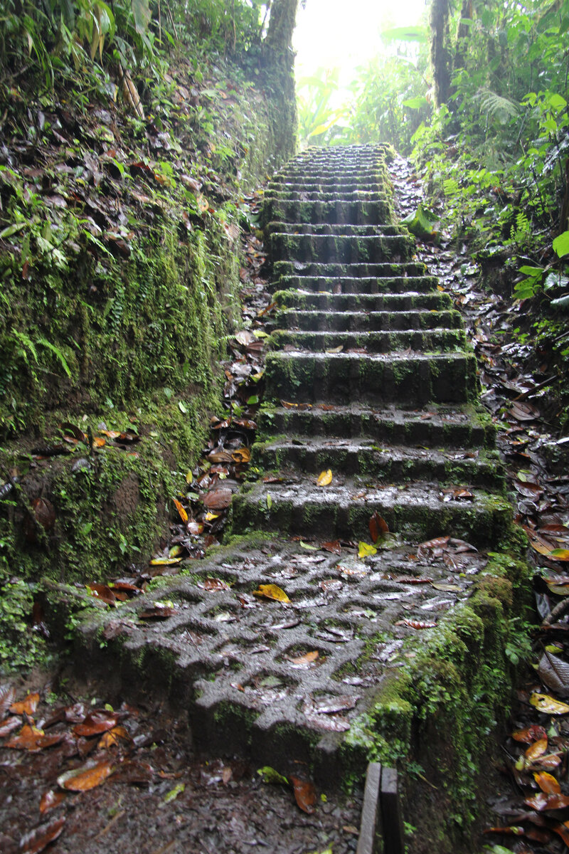 Путь к счастью тернистый и скользкий